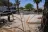 Tamarisk Mobile Home & RV Park