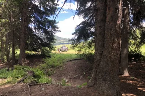 Watkins Creek Campsite
