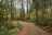 Margaret McKenny Campground