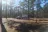 Airey Lake Recreation Area