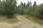 Dragoon Creek Campground