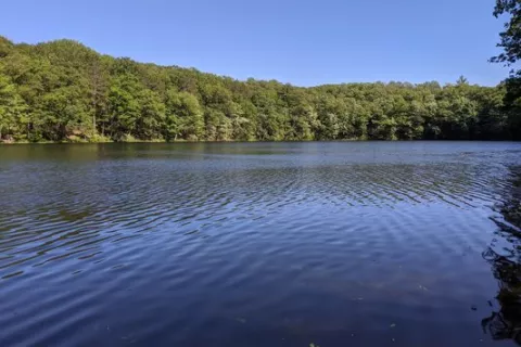 Condon Lakes West Campground
