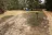 Custis Camp