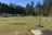 Live Oak Landing