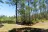 New River Campsite #14