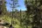 Hayden Fork Campground