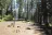 Chatcolet Campground