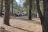 Pagosa Pines RV Park