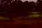 Millwood Landing Golf & RV Resort